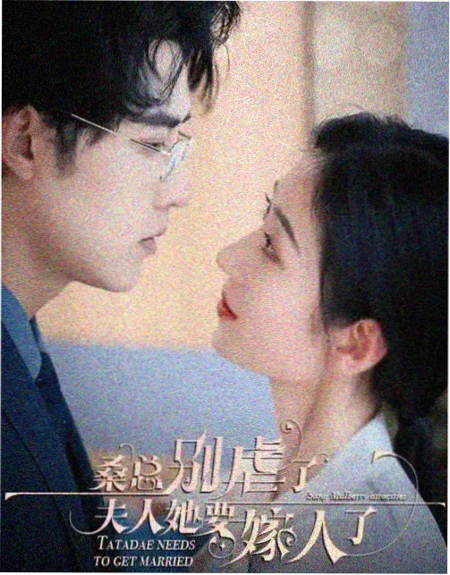 莲花影视热播剧集筛选功能更新配图